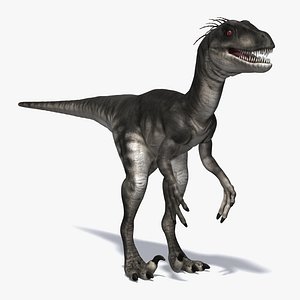 Raptor
