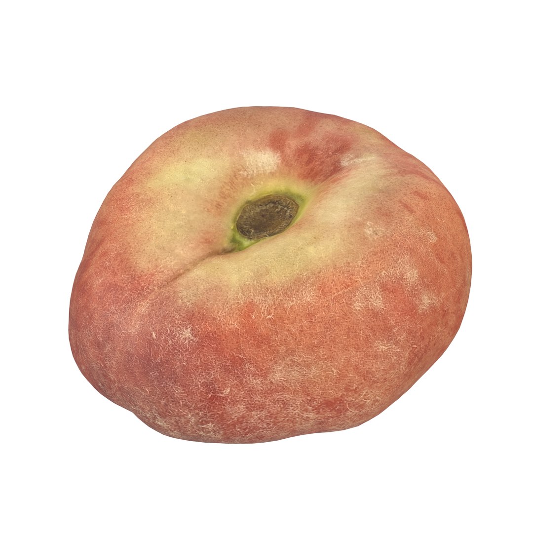 3D Donut Peach https://p.turbosquid.com/ts-thumb/tM/ry9S2u/bS/1/png/1753388007/1920x1080/fit_q87/c0619b30375756c6a32a9752b80a382387e5b713/1.jpg