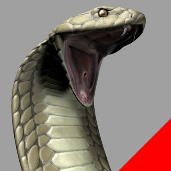 king cobra 3d max