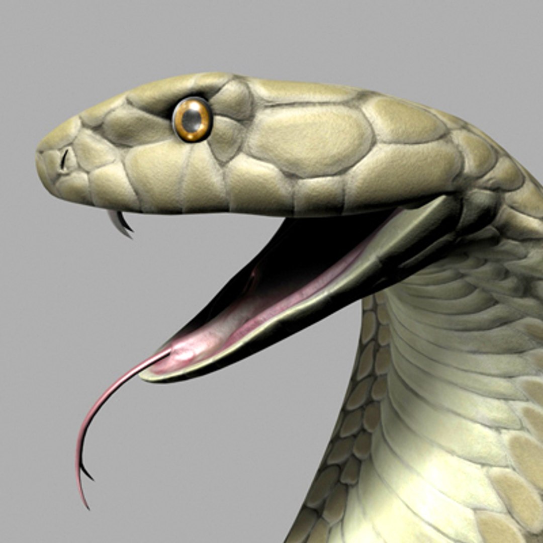 3d Model King Cobra