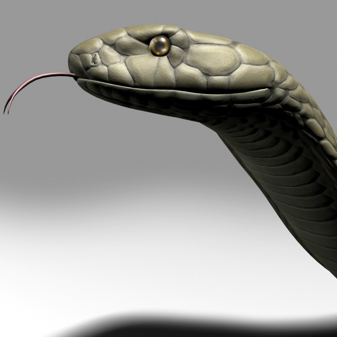 3d Model King Cobra