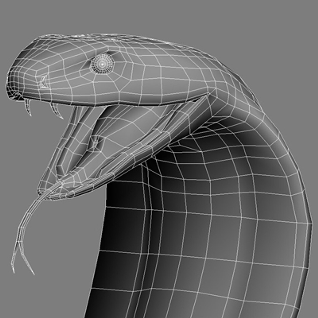 3d Model King Cobra