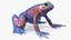 3D Frog Anatomy Complete Body Transparent Skin