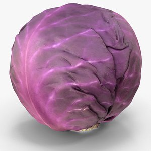 Red Cabbage 3D model