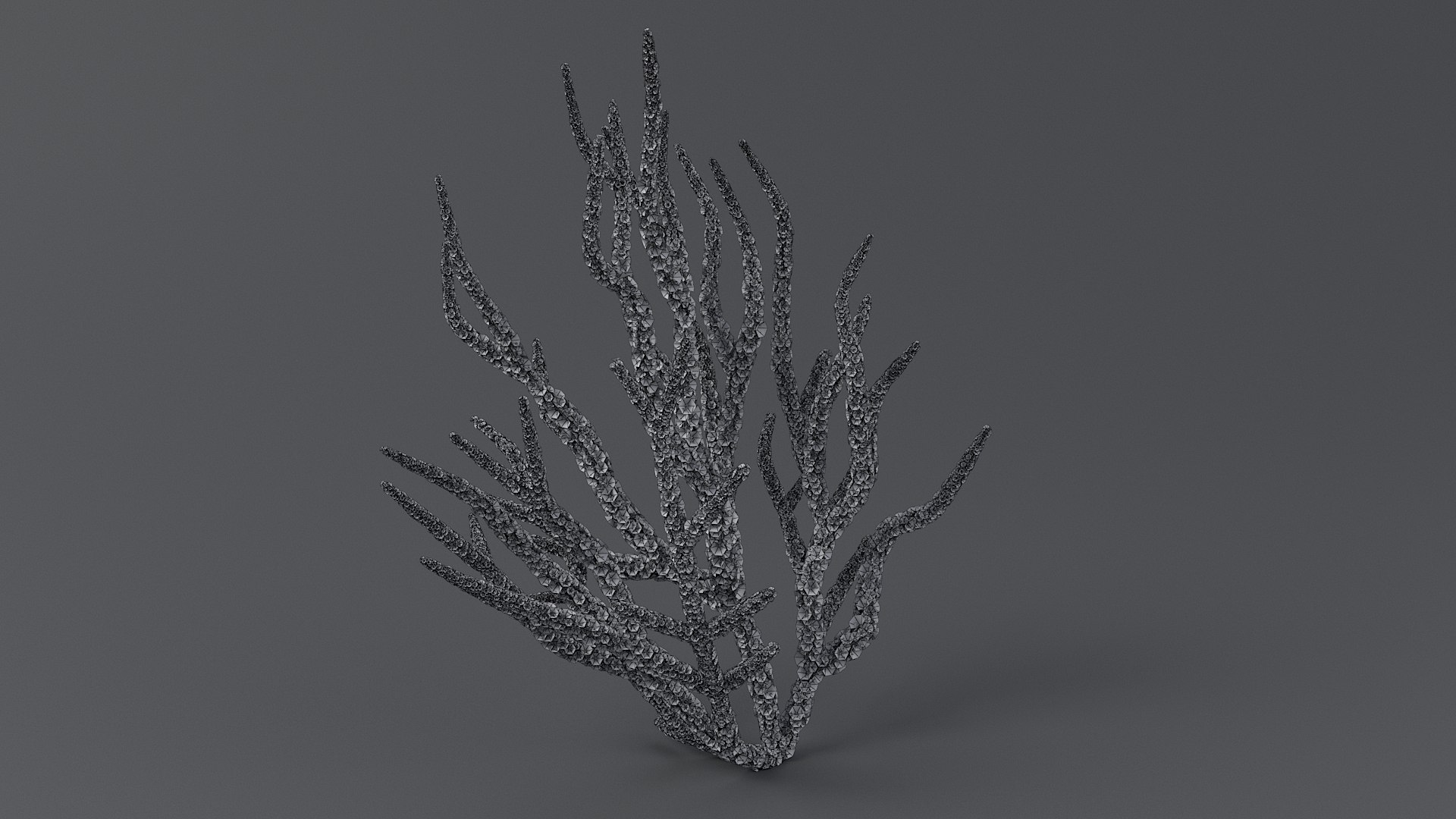 Gorgonacea Coral 02 3D model https://p.turbosquid.com/ts-thumb/tN/QagoUC/2t/gorg_02_07/jpg/1767602343/1920x1080/fit_q87/c1e44bbaaffe11e98c07b172e7aabfb0e87eec3c/gorg_02_07.jpg