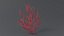 Gorgonacea Coral 02
