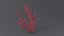 Gorgonacea Coral 02