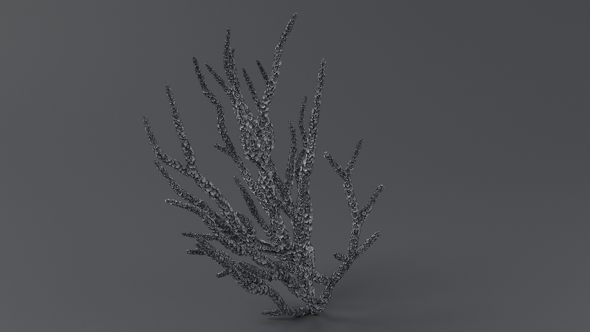 Gorgonacea Coral 02 3D model https://p.turbosquid.com/ts-thumb/tN/QagoUC/Fk/gorg_02_08/jpg/1767602345/1920x1080/fit_q87/3aa0174c658350a45a1961eb31bd61d36a1f09aa/gorg_02_08.jpg