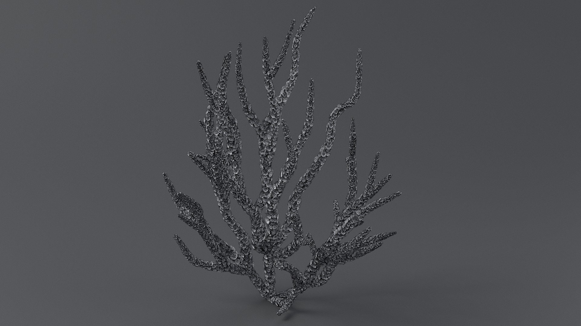 Gorgonacea Coral 02 3D model https://p.turbosquid.com/ts-thumb/tN/QagoUC/PA/gorg_02_09/jpg/1767602346/1920x1080/fit_q87/71952f97ea54853e54cb79d60d80175177d1ef5a/gorg_02_09.jpg