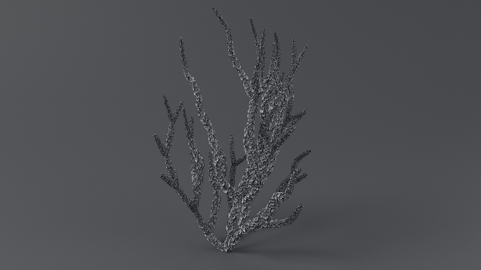 Gorgonacea Coral 02 3D model https://p.turbosquid.com/ts-thumb/tN/QagoUC/ot/gorg_02_10/jpg/1767602346/1920x1080/fit_q87/cd079b01f9e7ee28e54ac1b3825f000ff88f1a75/gorg_02_10.jpg