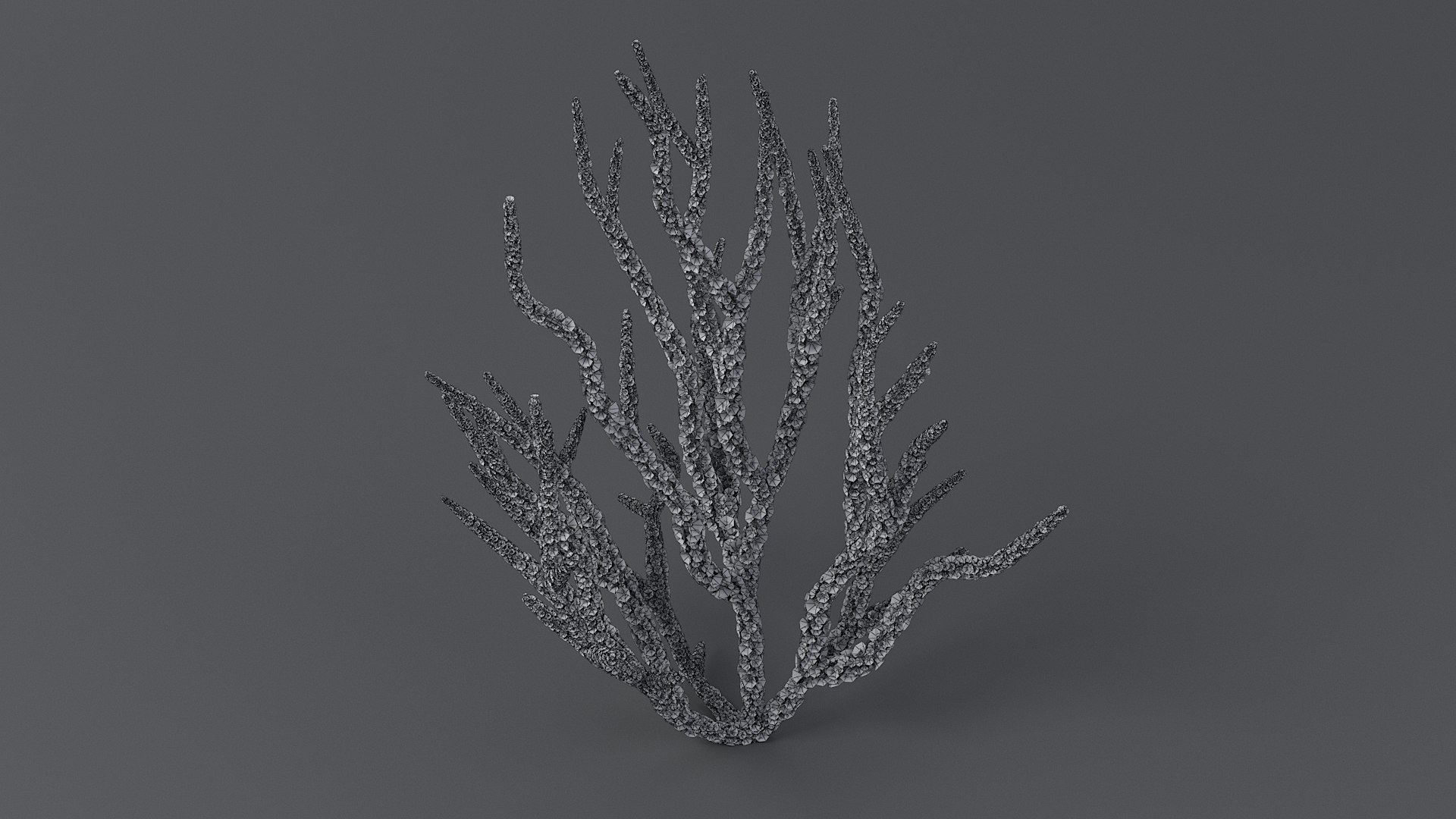 Gorgonacea Coral 02 3D model https://p.turbosquid.com/ts-thumb/tN/QagoUC/sJ/gorg_02_11/jpg/1767602349/1920x1080/fit_q87/9fded2b13978eb9dd79b498e1857cea6b696c4ed/gorg_02_11.jpg
