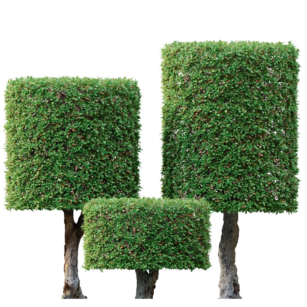 3D Cylindrical shape shrub model TurboSquid 1931263