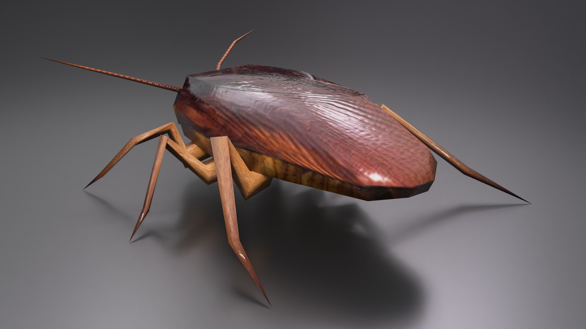 Cockroach 3D Model - TurboSquid 1780138