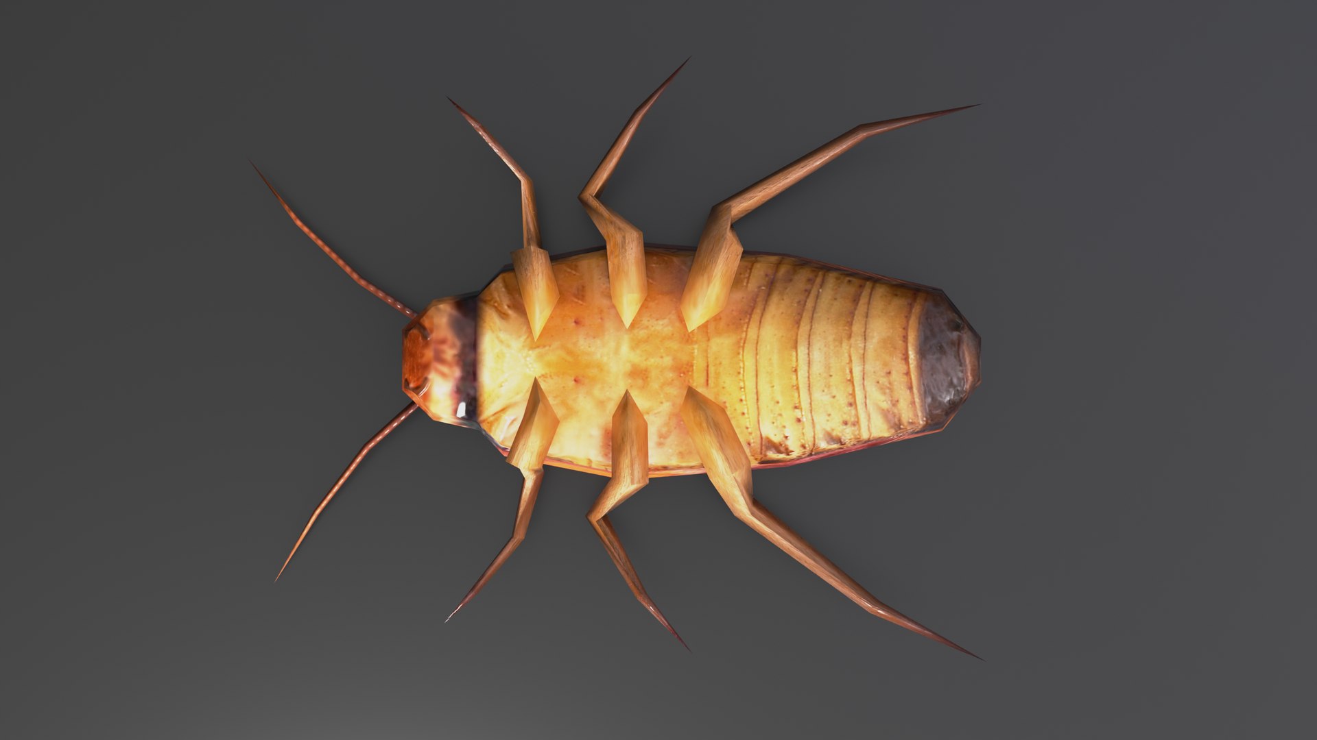 Cockroach 3D Model - TurboSquid 1780138