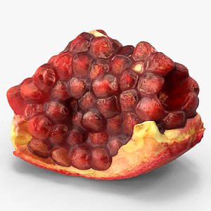 3D Pomegranate Piece