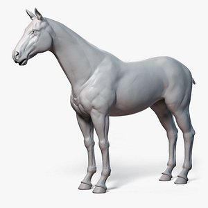 horse base mesh 3D model