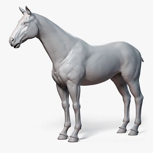 Horse Base Mesh