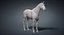 horse base mesh 3D model