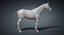 horse base mesh 3D model