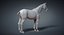 horse base mesh 3D model