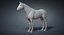 horse base mesh 3D model