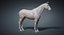 horse base mesh 3D model