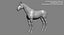 horse base mesh 3D model