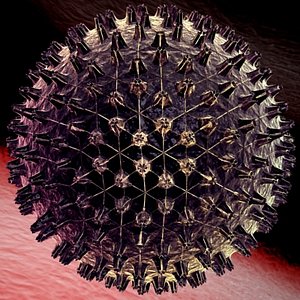 Generic Virus 3