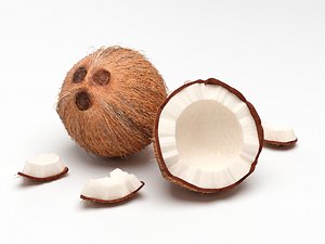 3D model Coconut Whole and Party on Scene