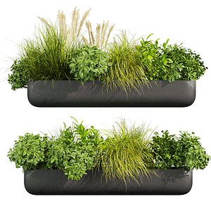 3D plant vol 836 - pampas - bush - leaf