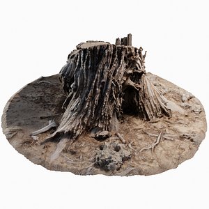 cedar tree stump model
