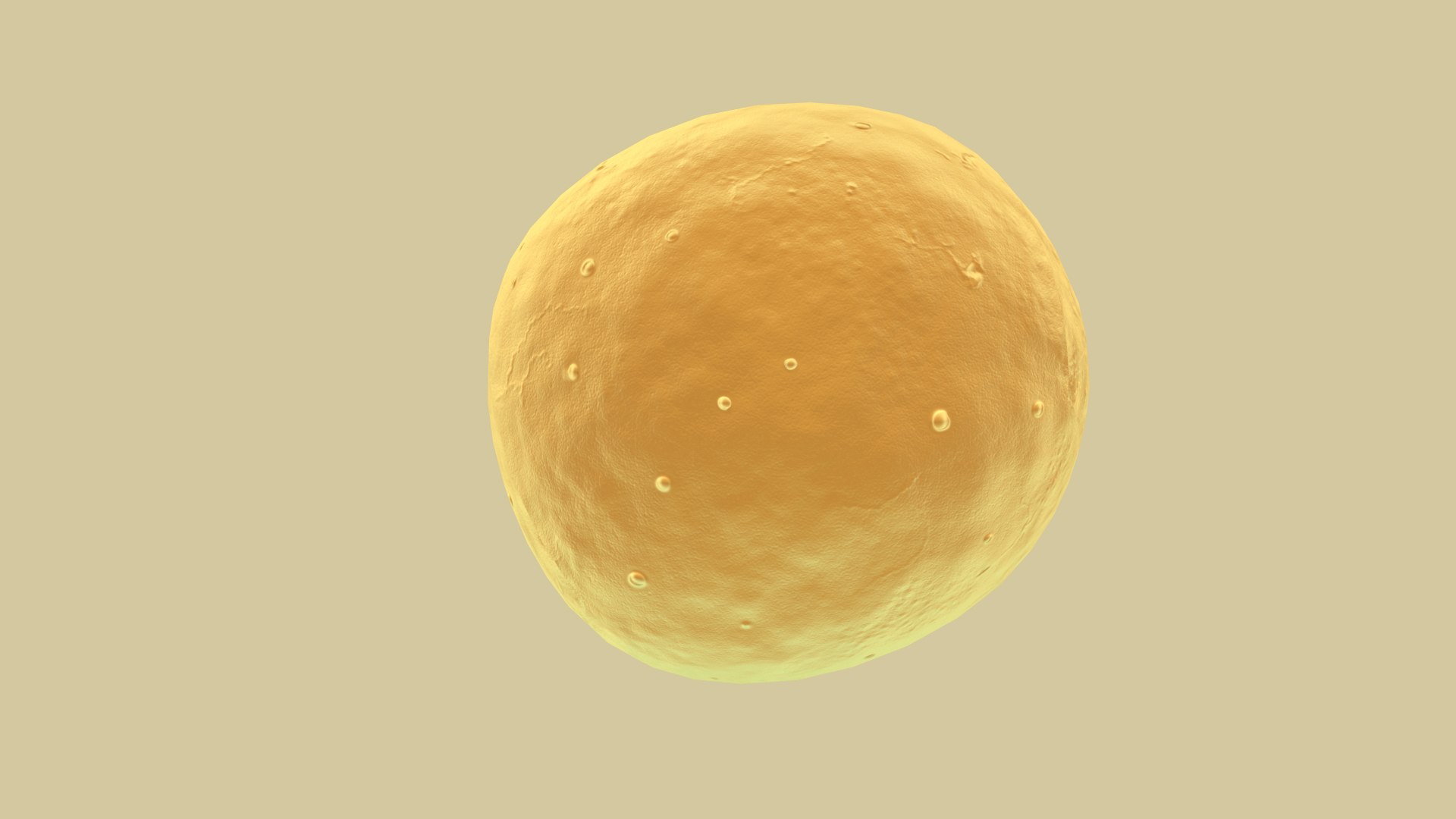 Coccus model - TurboSquid 2126024