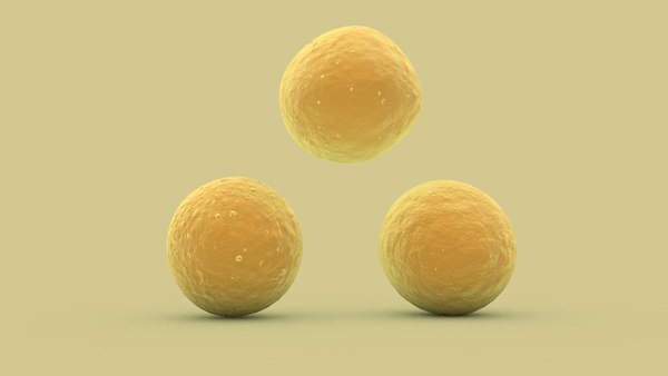modelo 3d Cocinero - TurboSquid 2126024