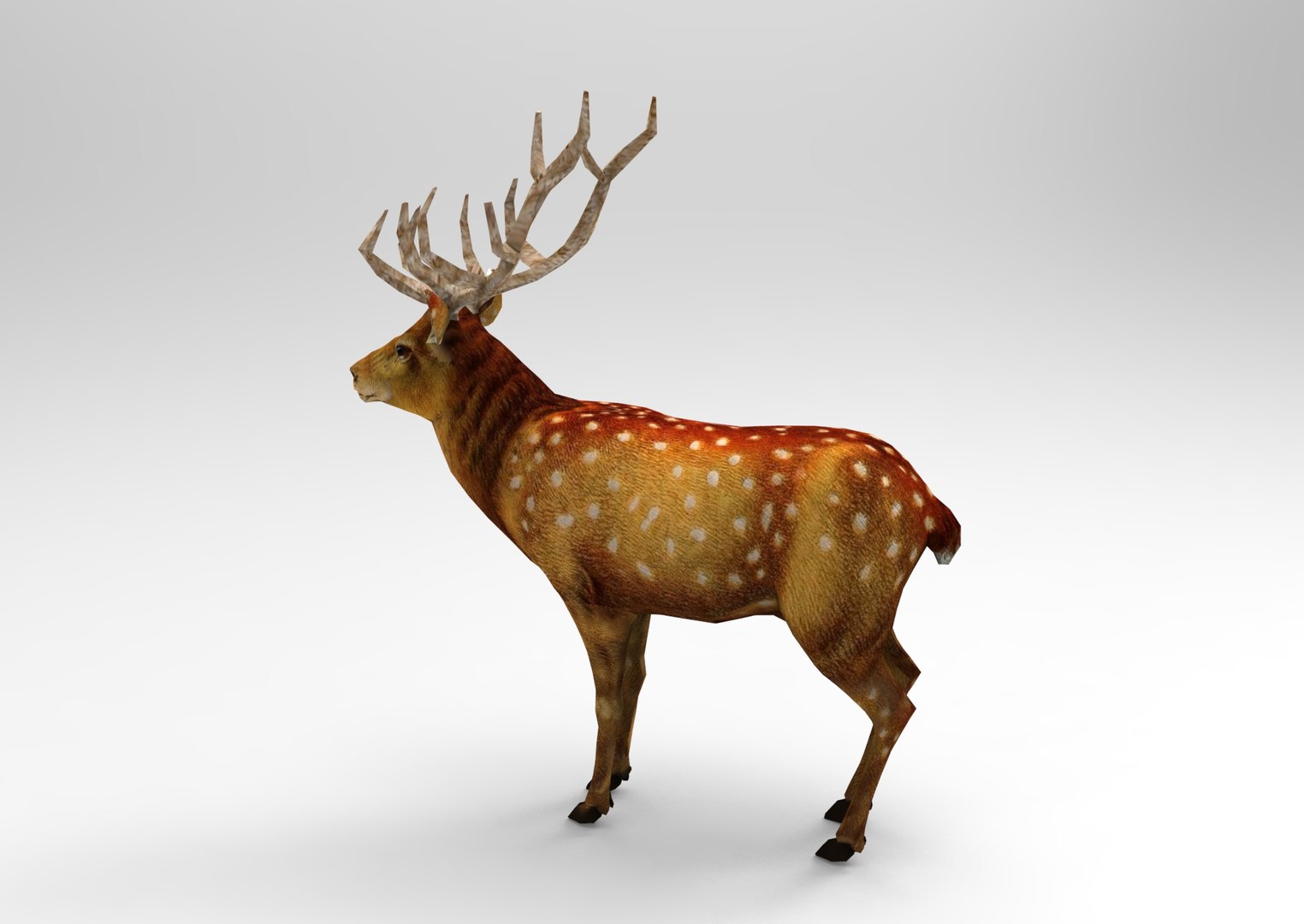 Deer rigged animation 3D - TurboSquid 1205364