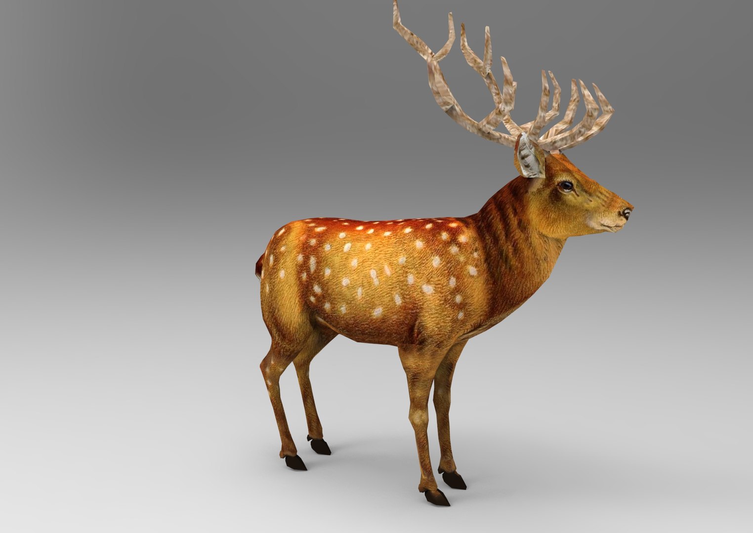 Deer rigged animation 3D - TurboSquid 1205364
