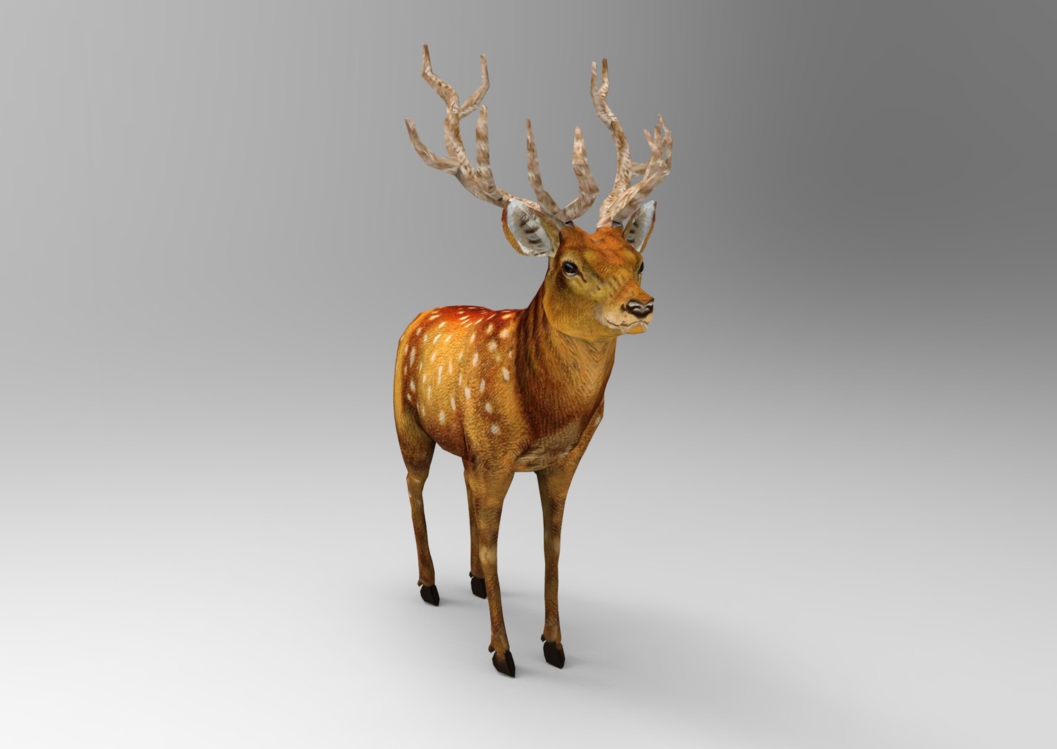 Deer rigged animation 3D - TurboSquid 1205364