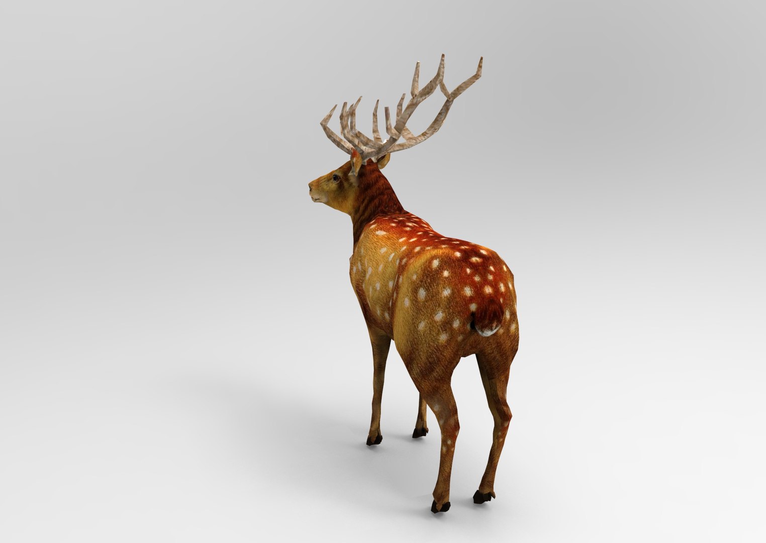 Deer rigged animation 3D - TurboSquid 1205364