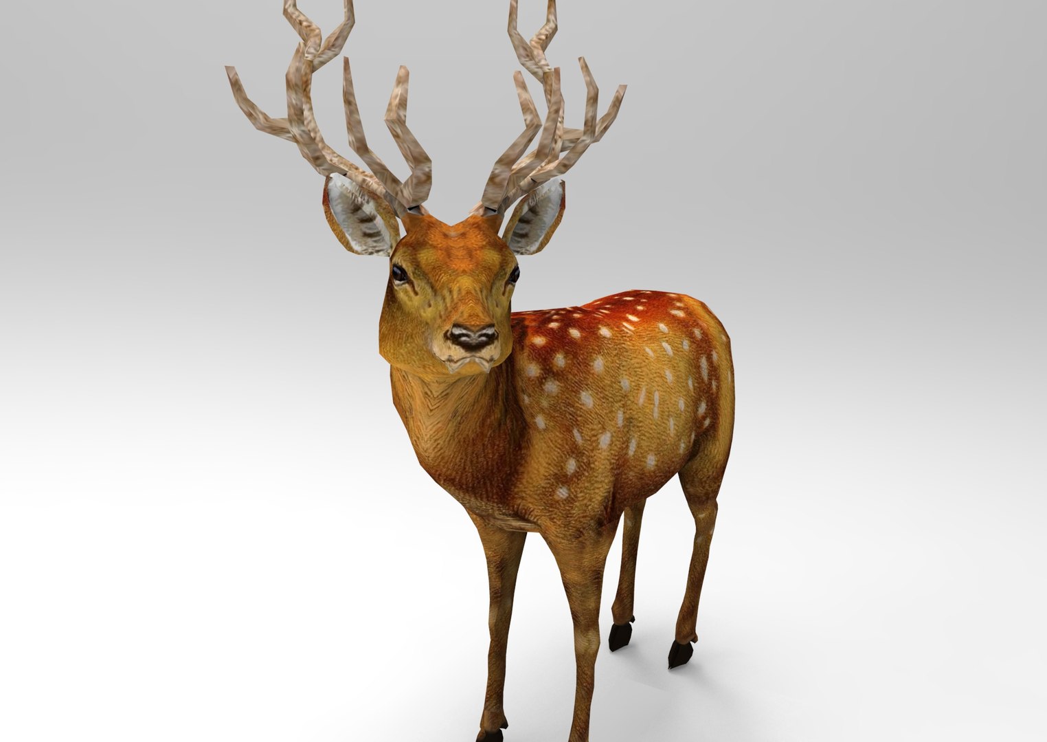 Deer rigged animation 3D - TurboSquid 1205364