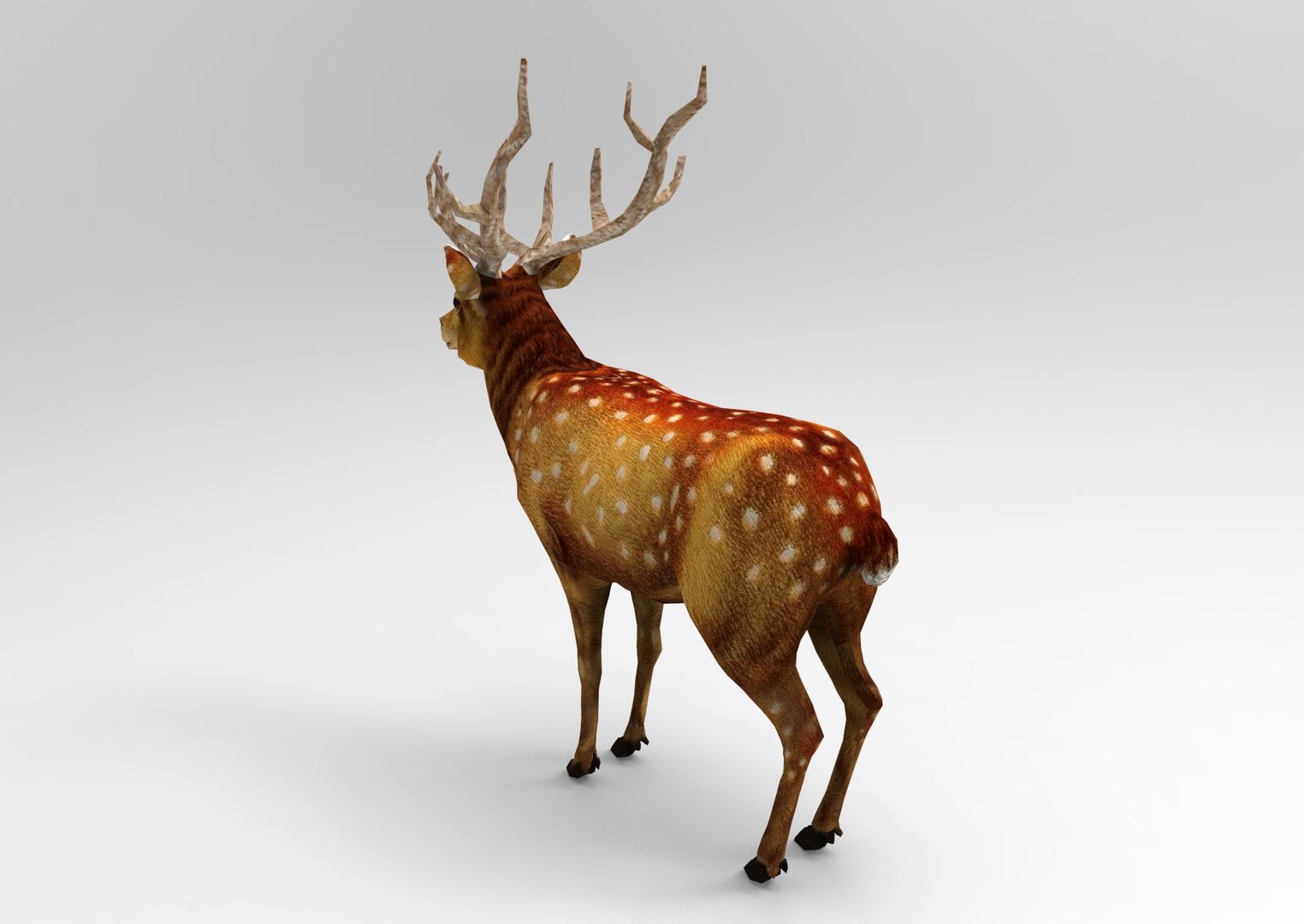 Deer rigged animation 3D - TurboSquid 1205364