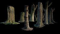 10 Photo Scanned Tree Trunks