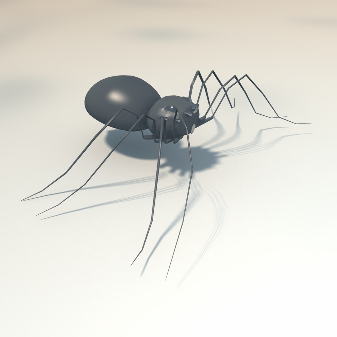 free spider arachnid 3d model https://p.turbosquid.com/ts-thumb/tO/WvKVNW/ND9posPj/doc26/jpg/1379045279/1920x1080/fit_q87/4ba1f4a301043144685370b16fd458bb7715593c/doc26.jpg
