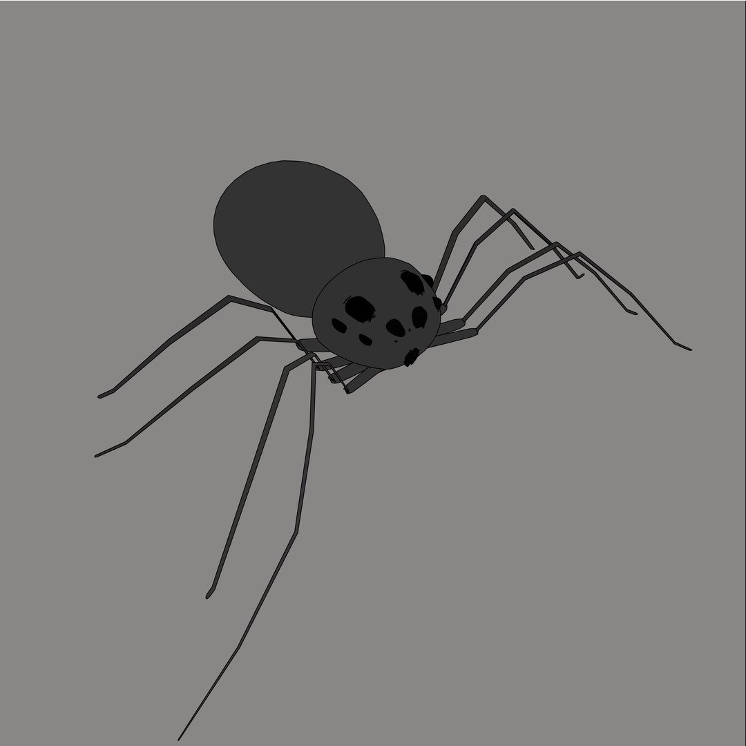 free spider arachnid 3d model https://p.turbosquid.com/ts-thumb/tO/WvKVNW/Wf8v9vTN/vectorspider/jpg/1379043731/1920x1080/fit_q87/740ab9cb40bd6cbd9c4c46fd4feaee818620c32e/vectorspider.jpg