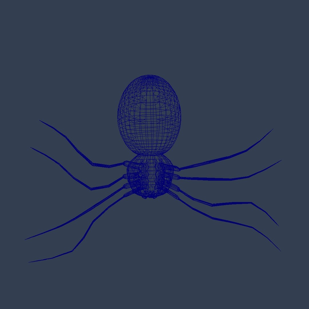 free spider arachnid 3d model https://p.turbosquid.com/ts-thumb/tO/WvKVNW/cnfhVgIR/doc18/jpg/1379043779/1920x1080/fit_q87/3734c8f075ffaebfe3915c13a194af3a96ade017/doc18.jpg