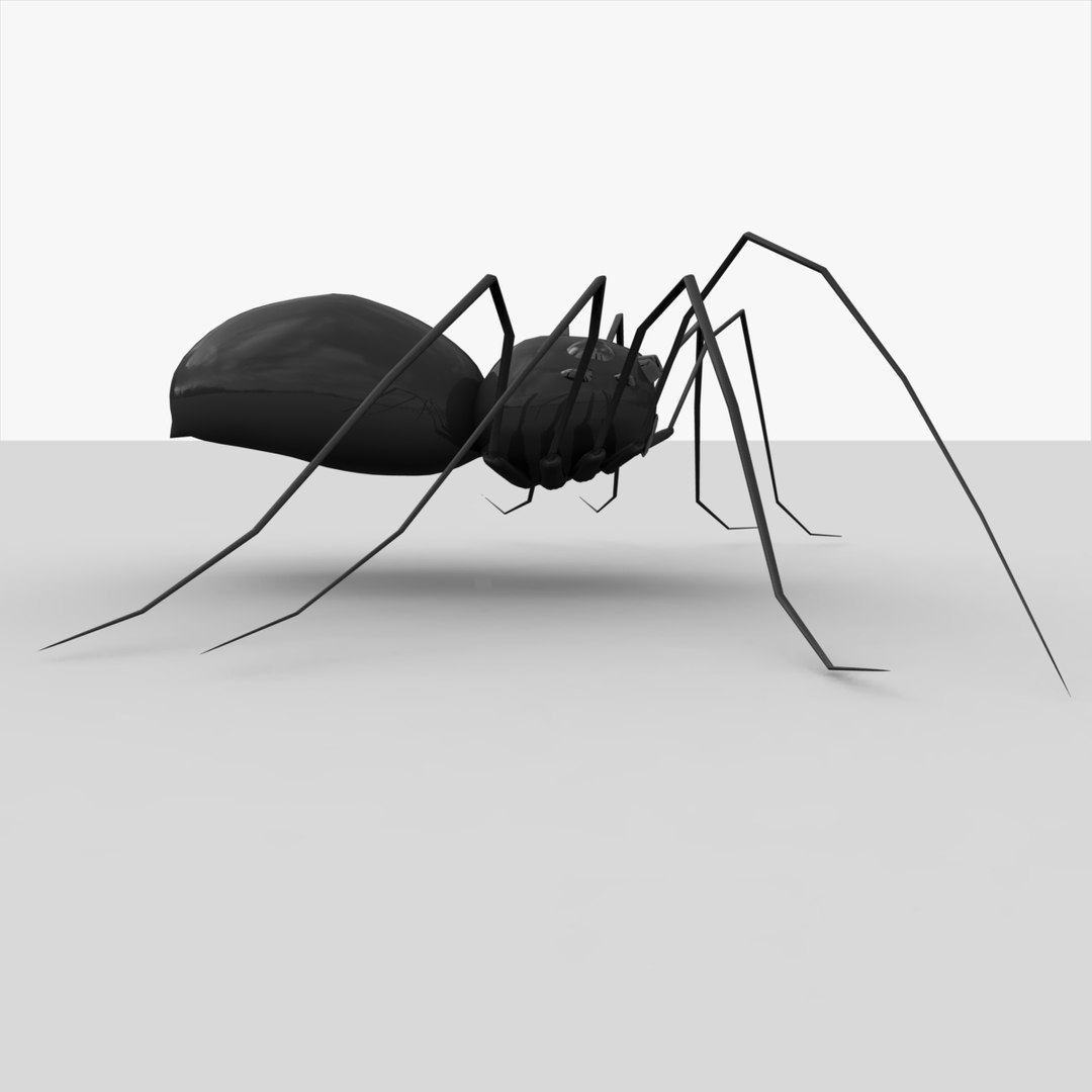 free spider arachnid 3d model https://p.turbosquid.com/ts-thumb/tO/WvKVNW/fnuRm6HX/doc13/jpg/1379030655/1920x1080/fit_q87/f0b0ea1be80b4d1bbb1f4e36ae10f2cfd16837a7/doc13.jpg