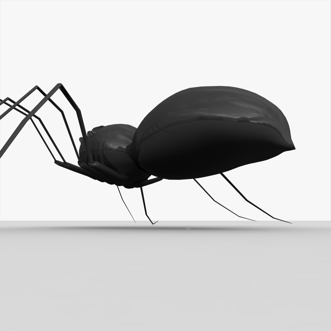 free spider arachnid 3d model https://p.turbosquid.com/ts-thumb/tO/WvKVNW/g0NO5T3p/doc14/jpg/1379030660/1920x1080/fit_q87/d5d22f4ecb8dae433a235e2caf25d618fc267cc2/doc14.jpg