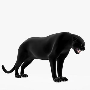 Panther