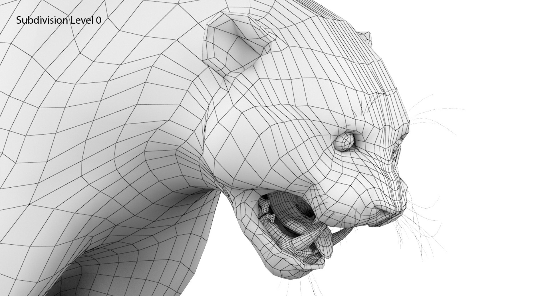 3d feline cat model https://p.turbosquid.com/ts-thumb/tO/bM3ZYq/m09GWez5/14/jpg/1468079191/1920x1080/fit_q87/1bfc00f0d75d0314632d2620eb3d916d935482b7/14.jpg