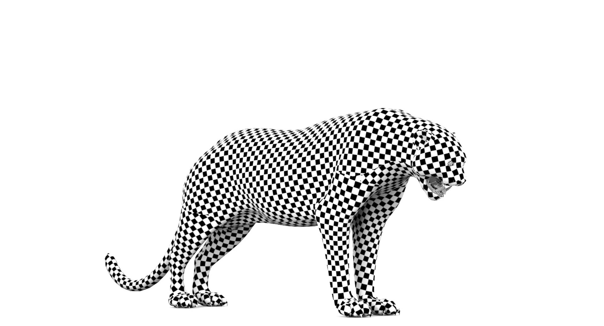 3d feline cat model https://p.turbosquid.com/ts-thumb/tO/bM3ZYq/mCrK59iL/11/jpg/1468079191/1920x1080/fit_q87/58a308792c29eadfe2c78dcaacb80adea58d3e78/11.jpg