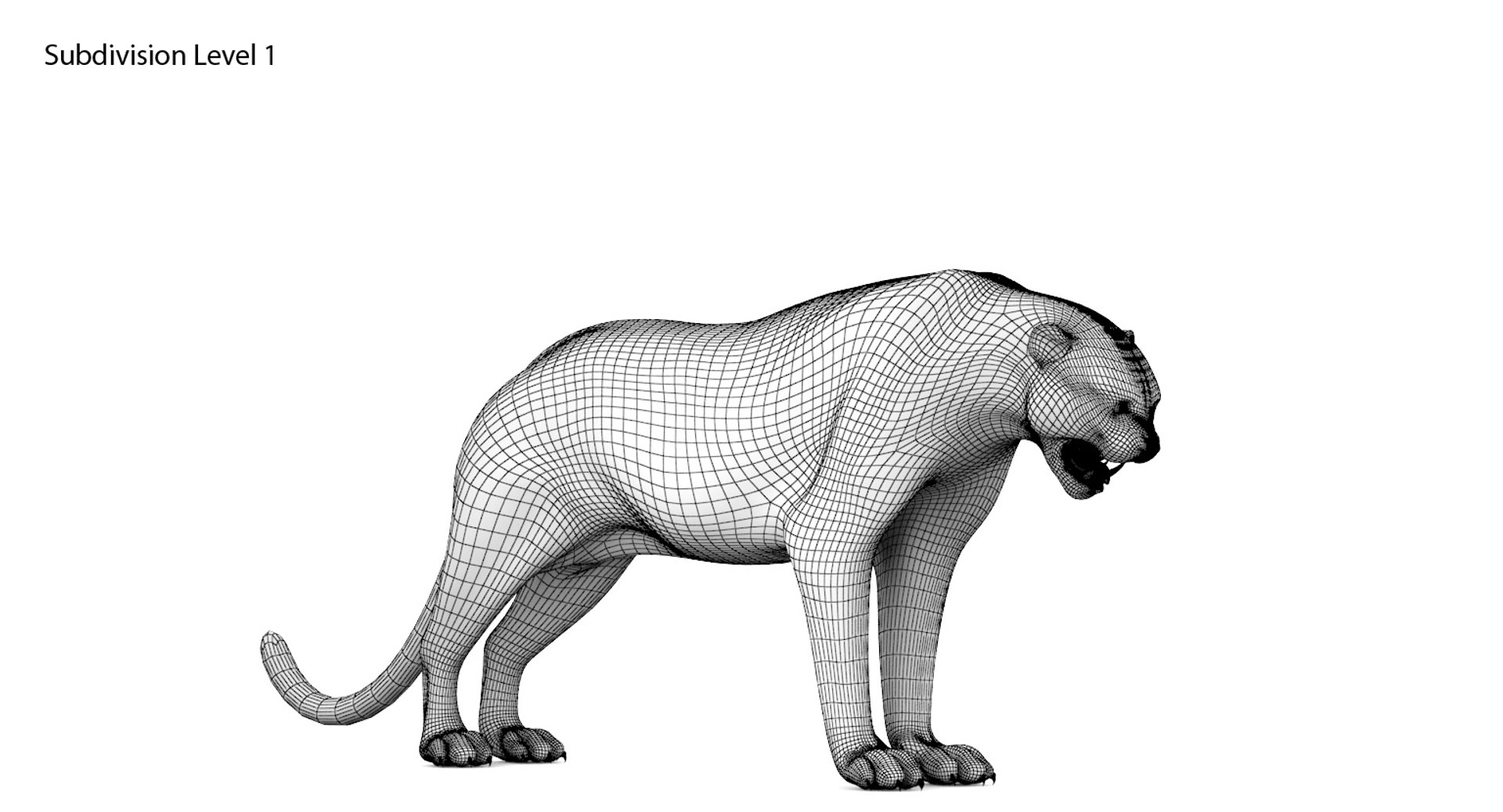 3d feline cat model https://p.turbosquid.com/ts-thumb/tO/bM3ZYq/u2djV6US/13/jpg/1468079191/1920x1080/fit_q87/51a180c11b5766e2f0fcbd0641c4f6c5cf732caa/13.jpg