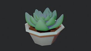 3D model succulent plant